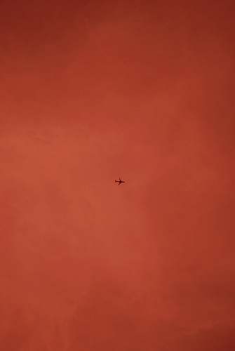 flying red and white abstract painting brown