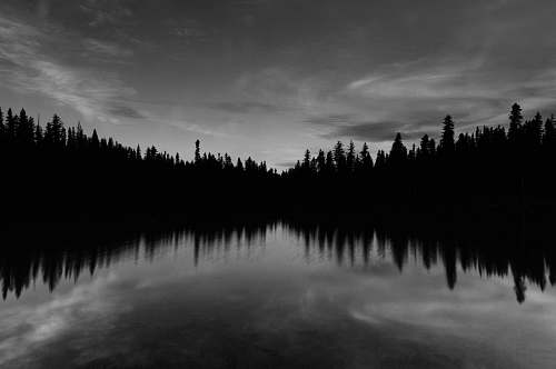 forest body of water near trees under cloudy sky reflection