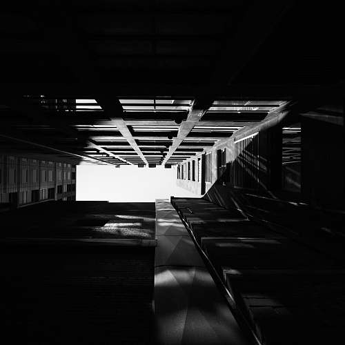 melbourne grayscale and low angle photography of tall building windows