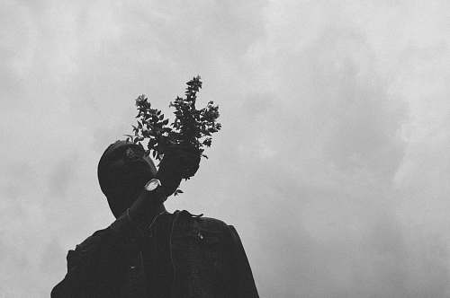 person person holding plant human