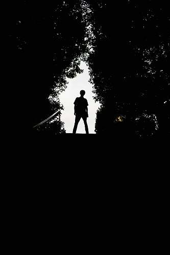 silhouette silhouette of man standing on top of stairs person