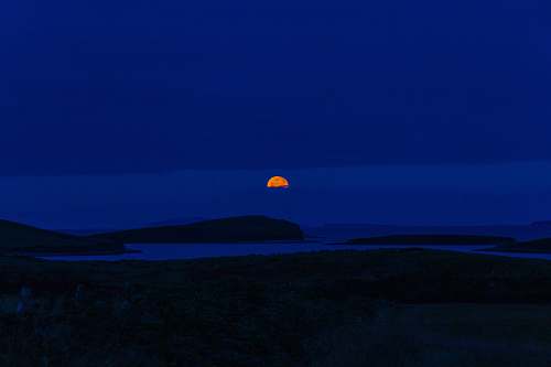 horizon orange moon during nighttime orange