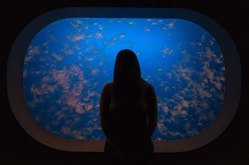 aquarium silhouette woman in front of aquarium water