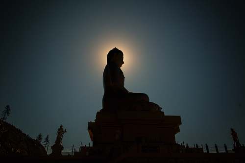 silhouette silhouette photo of Buddha statue worship