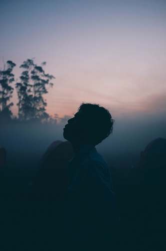 silhouette silhouette of man near trees sunrise