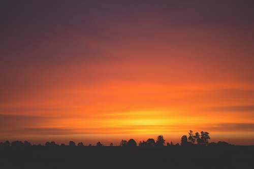 sunset silhouette of trees nature
