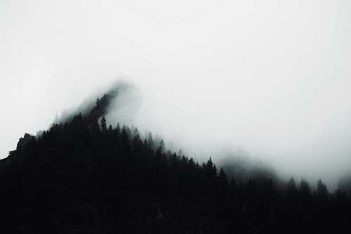 fog silhouette of mountain forest