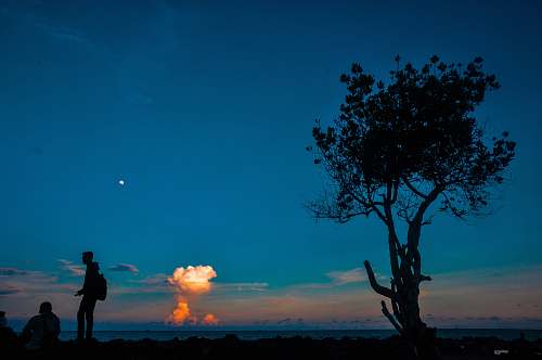 person person standing beside person sitting near tree nature