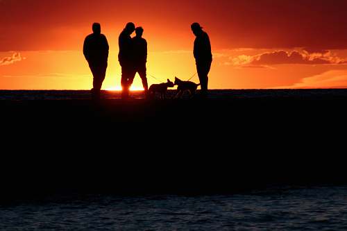 person silhouette of four persons with two pets nature