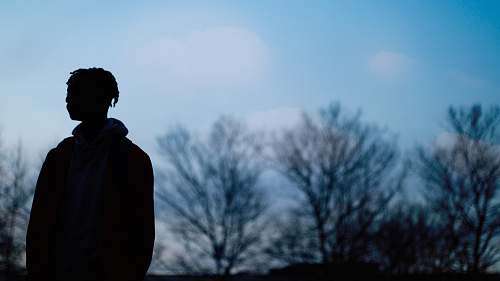 apparel silhouette of man facing bare trees clothing