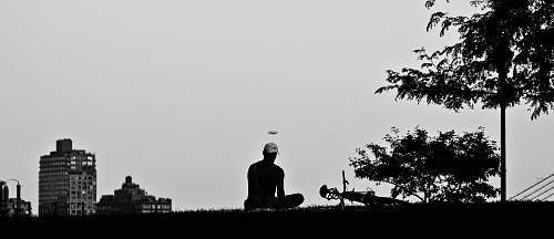person silhouette of man in grass field black-and-white