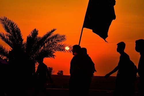 person silhouette of people walking near plant silhouette