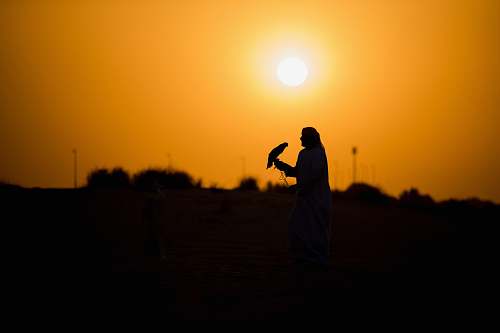 person silhouette of person carrying bird during sunset people