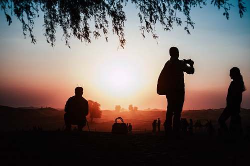 person silhouette of three person near tree flare