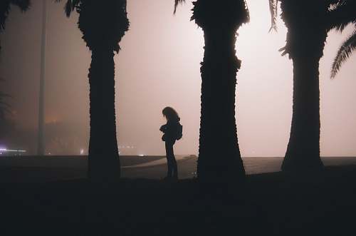 person silhouette of woman near the tree silhouette