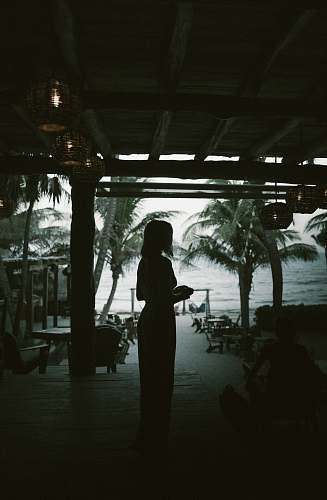 person silhouette of woman standing beside beach people