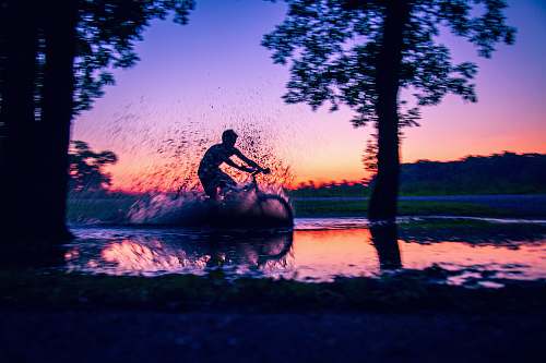 person silhouette photo of man riding bicycle silhouette