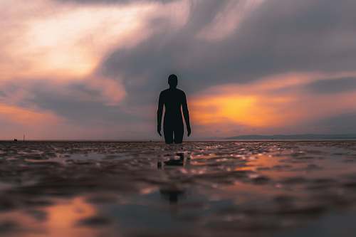 person silhouette photo of person standing standing