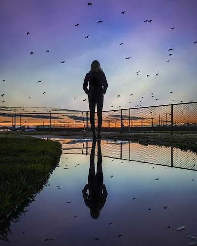 person woman standing at the field near fence during golden hour animal