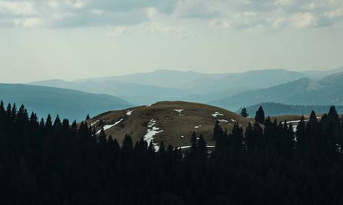 mountain landscape photo of brown mountain forest