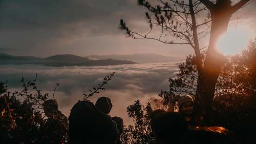 human people hiking on forest viewing mountain person