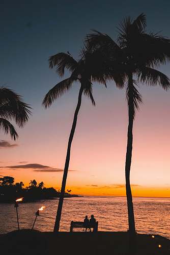 silhouette people sitting on beach near sea sunset