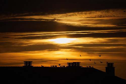 silhouette silhouette of buildings under cloudy sky during golden hour sunlight