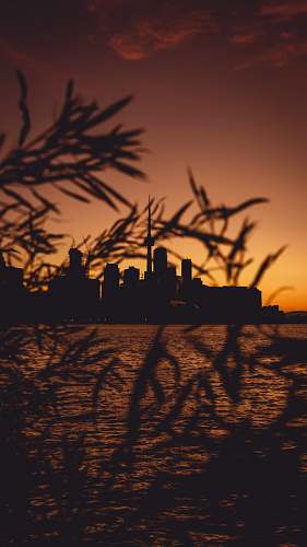 outdoors silhouette of city with high-rise buildings near body of water sky