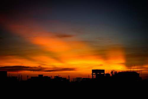 outdoors silhouette of grasses dawn