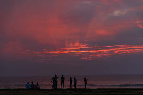 human silhouette of people standing and sitting near beach during sunset person
