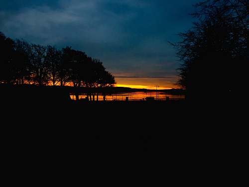 outdoors silhouette of trees and lake sunset scenery dawn