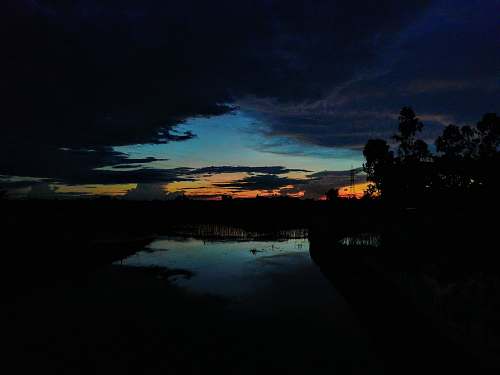 outdoors silhouette of trees during nighttime dawn