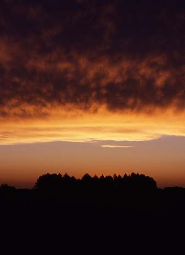 outdoors silhouette of trees under cloudy sky sky