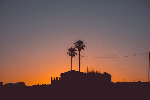 outdoors silhouette photography of house near palm tree during golden hour sunset