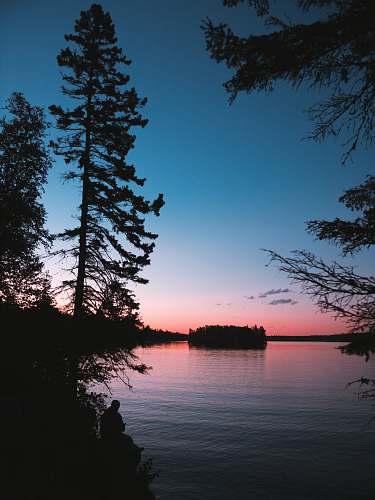 outdoors silhouette photography of trees beside water silhouette