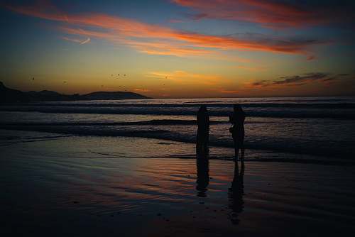 outdoors two person walking on shore during golden hour silhouette