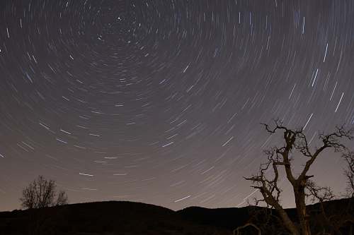 tree milky way galaxy sky grey