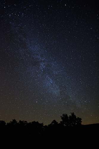 galaxy silhouette of trees under stars stars