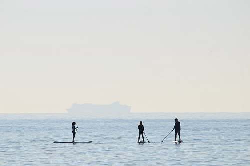 sea people riding on paddle boards water