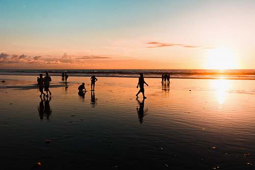 person people at the beach during golden hour human