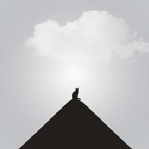nature silhouette of cat under cloudy sky black-and-white