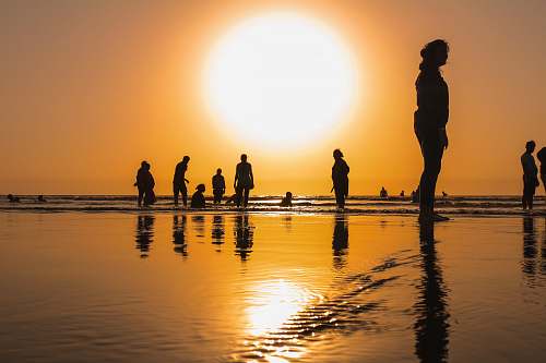 person silhouette of people on shore during sunset human
