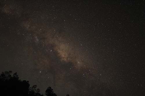 night silhouette of trees during night time galaxy