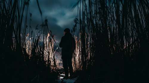 human man wearing black jacket standing on the grass field grass