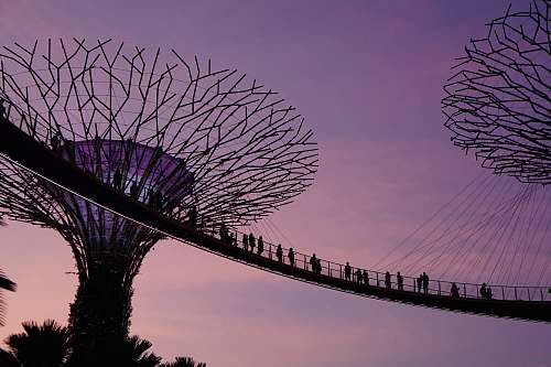 human Marina City Park, Singapore nature