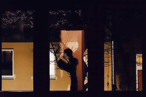 human reflection of tree through window silhouette