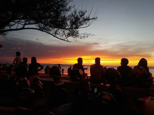 human silhouette of people facing body of water nature