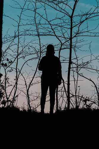 silhouette silhouette of woman photograph human