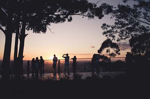 sunset silhouette photography of people human