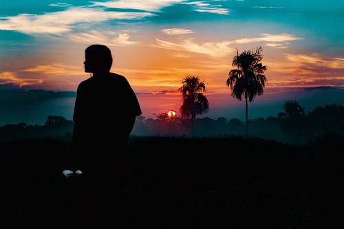 sunset silhouette photography of person standing far from trees during golden hour sunrise